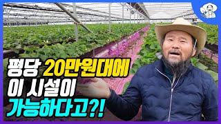 LED 2단 재배 생산량은? 딸기 농사 명인이 평당 20만원대에 직접 지은 비닐하우스 스마트팜