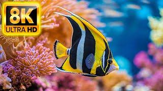 Majestic Ocean Serenity 8K ULTRA HD - Tranquil Sea Life and Coral Reef Wonders #2