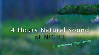 4 Hours of Nature Sound at Night | #SoundSketch Ft. Morning Little Stories