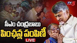 LIVE : పింఛన్ల పంపిణీ.. | CM Chandrababu Naidu to Distribute NTR Bharosa Pension | TV5 News