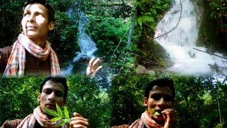 Nature Vlog | Uttarakhand Village Life | Hill Village Life | Hill Villager