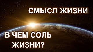 Смысл жизни. В чём соль жизни - психолог Ирина Лебедь