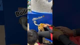 Build a Bear Activity || Loved it || Fun Activity || USA Telugu Vlogs #shorts #ytshorts