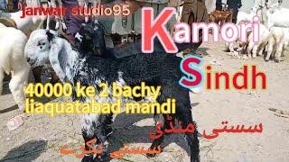 Liaquatabad Maweshi Mandi || Goat Farming In Pakistan || Kamori Goat Kids || Sasta Bakra || بکری بچے