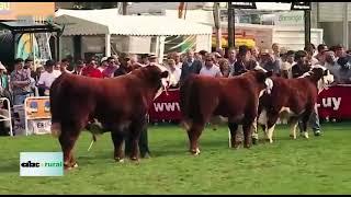 ¿Que país que tiene más ganado bovino que habitantes?