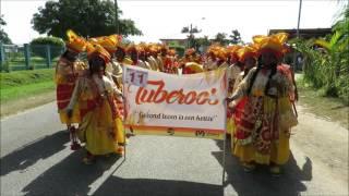 Wandelmars,Suriname 2017