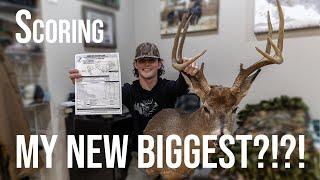 Scoring My 2023 Whitetail - NEW BIGGEST?!?!