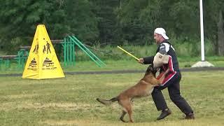 2022 IGP CACT Russia Knyazhevo 11 Krasilnikova Maria (4) and Vyatkins Y Uran (Malinois) C87