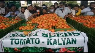 saivi seeds,kalyan