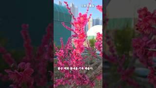 소바우농장