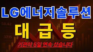 [ 에너지테마주 ]  LG에너지솔루션 기관이 5일 연속 샀습니다!
