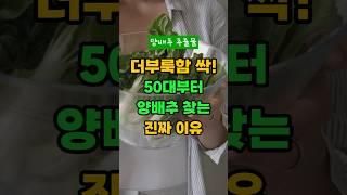 더부룩함 싹! 50대부터 양배추 찾는 진짜 이유 #건강 #건강정보 #지식 #정보 #중년