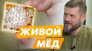 Живой мед, полезные и лечебные травы, чай