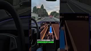 How Tesla's AI Learns to Drive Like a Human