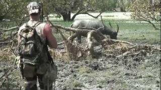 SWAMP HOGS ( Bow Hunting the Top End Australia )