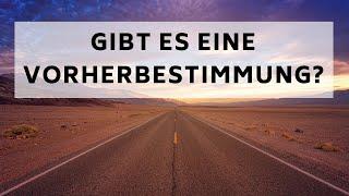 Gibt es eine Vorherbestimmung? | Knabberzeug S1F07