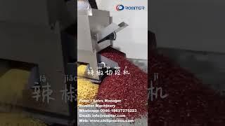 Автоматическая машина для резки и удаления семян красного перца чили