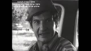 המורה לנהיגה (שייקה אופיר)