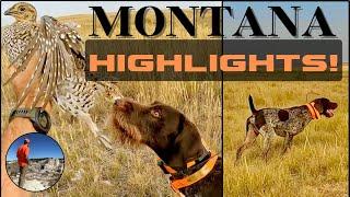 My Favorite Moments from Montana '23