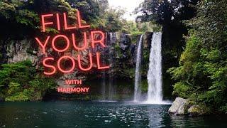 FILL YOUR SOUL WITH HARMONY daily vibrant