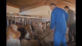 Wo kommt die Milch her? Doku Serie Wir leben Naturland