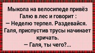 Как Мыкола в Лес Галю Возил! Сборник Свежих Анекдотов! Юмор!