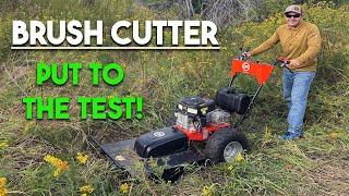 Putting a Brush Cutter to the Test | Is it worth the investment?