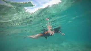 Snorkeling and diving around Mabul Island, Semporna, Malaysia