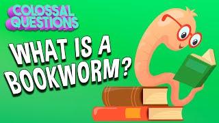 What Is A Bookworm? | COLOSSAL QUESTIONS