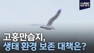 고흥만습지, 생태 환경 보존 대책은?-R (210211목/뉴스데스크)