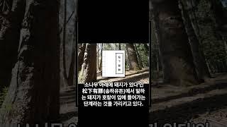 새로운 나라, 새로운 수도  #예언 #뉴스 #운명이야기 #국운 #국운예언 #송하비결 #개벽