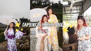 Cameron Highland Trip - Zen by Stellar, Sheep Sanctuary (pt. 2)