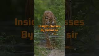  Insight Coaching Classes 