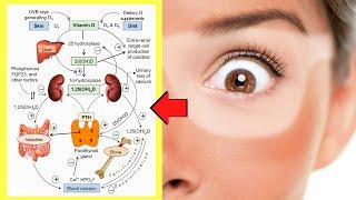 10 Most Common Vitamin D Myths - BUSTED