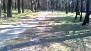 Ява Сергей Голобородько