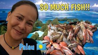 CHRISTMAS FISHING IN ROCK ISLAND OF PALAU  2024 #micronesia #philippines