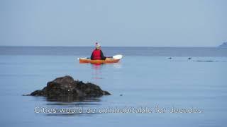 Gruinard Island Gairloch Canoe and Kayak centre