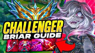 HOW TO PLAY BRIAR! RANK 1 CHALLENGER GUIDE