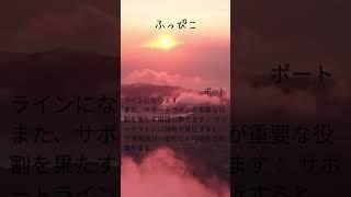 サポートラインとは
