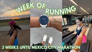 MARATHON TRAINING VLOG: 3 Weeks Until Mexico City Marathon