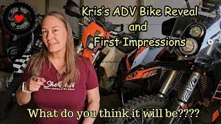 Kris's New ADV Bike: What will it be?  Ibex 450?  DR 650?  BMW 1300?  KTM 790?