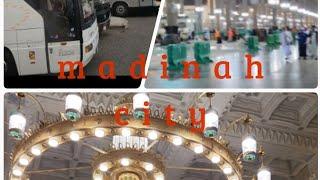 medinah city tour