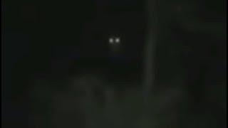 bigfoot is pissed Full Video