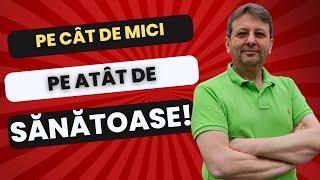 ATÂT DE MICI, DAR ATÂT DE SĂNATOASE!