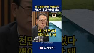 개 수영장인가 주술인가 역사학자 전우용의 가설 #전우용 #김건희