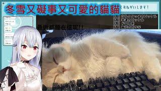 又睡在鍵盤上啦!冬雪家裡那隻有點礙事的可愛貓咪【葉加瀬冬雪】【彩虹社中文】