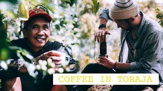 Visiting a COFFE FARM in Toraja, Indonesia (DAY 1)