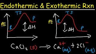 Endothermic and Exothermic Reactions