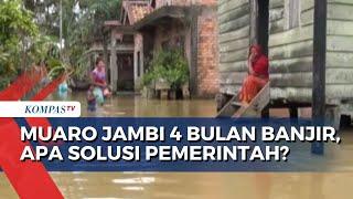 4 Bulan Banjir Landa Muaro Jambi, Bagaimana Penanganan dari Pemerintah Setempat?