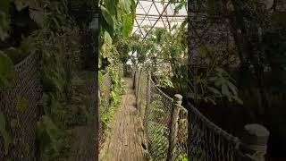 Part 3. Tropical Zoo in Randers, Denmark #zoo #visitdenmark #denmark